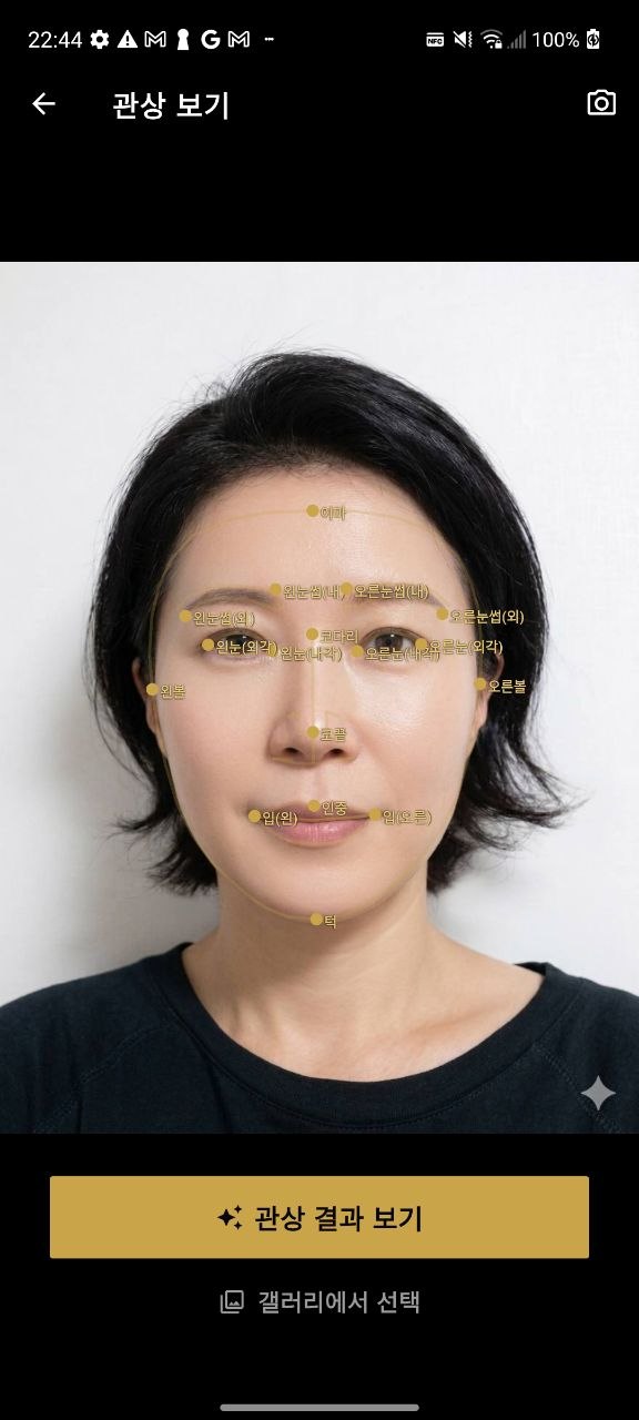 AI 관상 분석 화면
